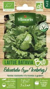 Laitue Iceberg Eduardo - BIO